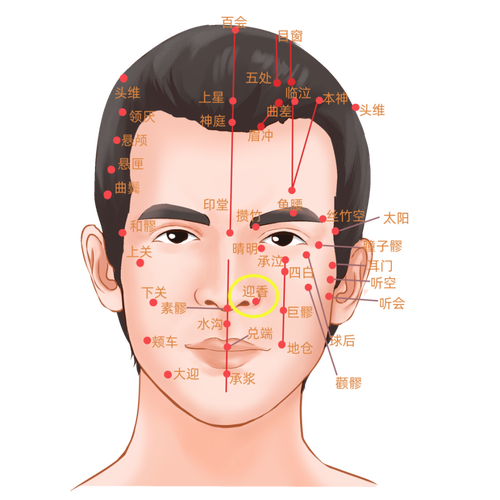 上印堂 是什么穴位