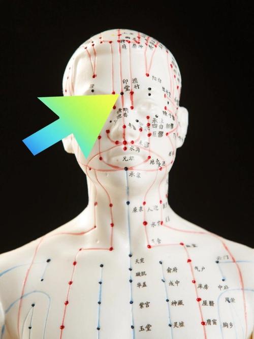 上印堂 是什么穴位