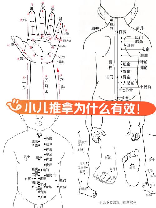斜颈小儿推拿有穴位