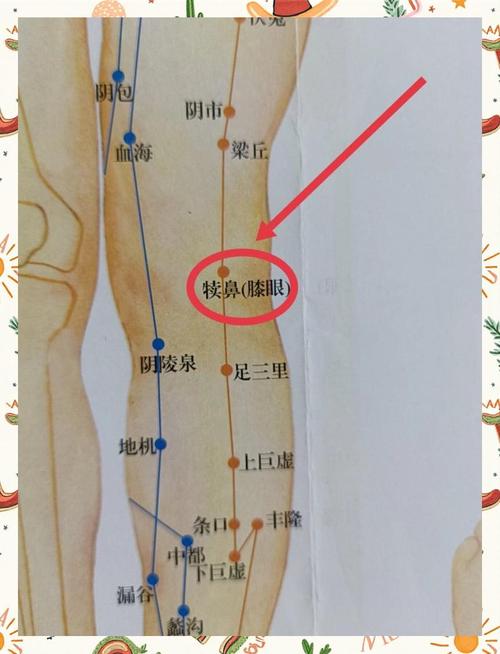 膝盖以下有什么穴位