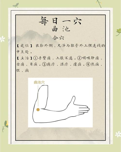 手臂发凉贴什么穴位