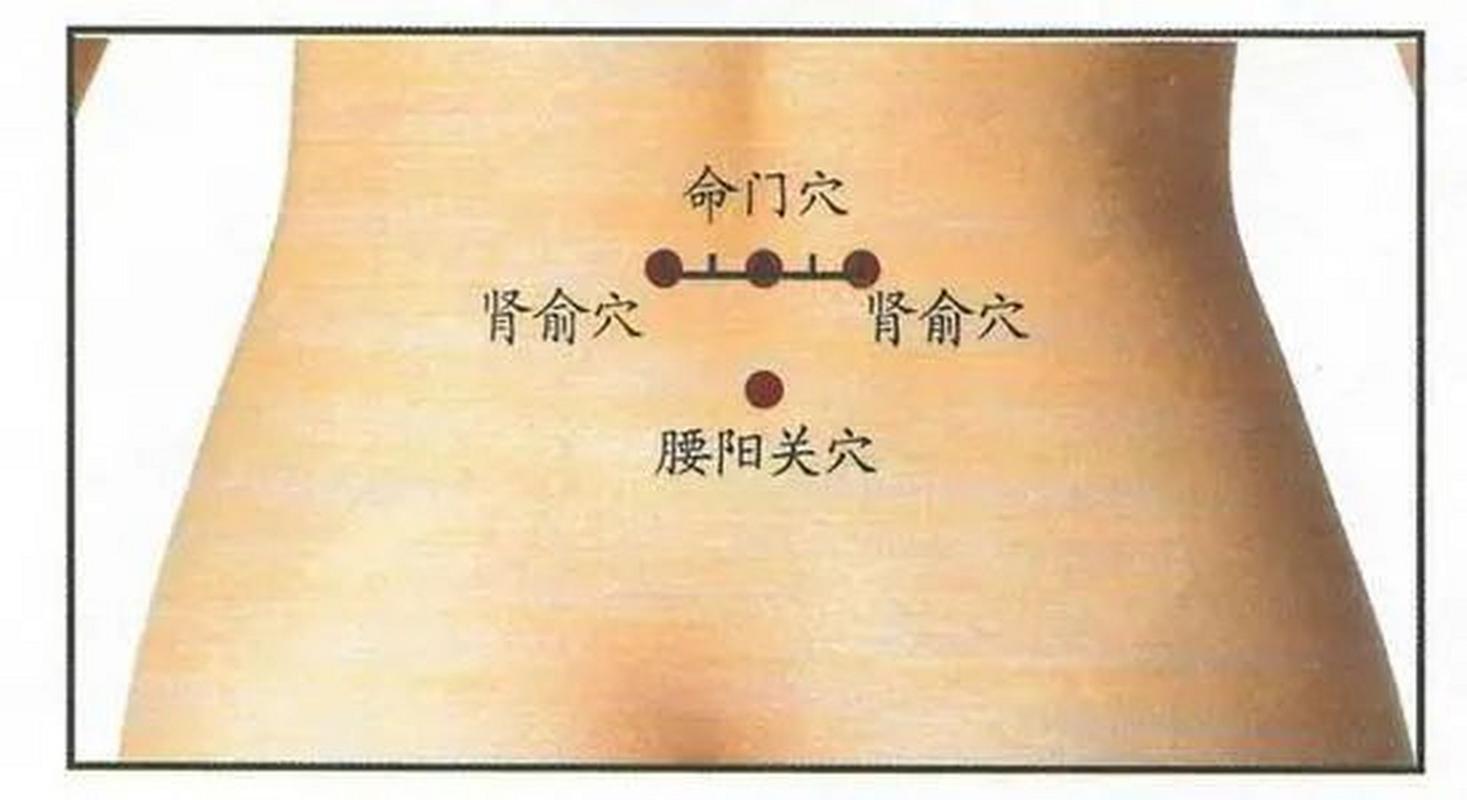 按哪个穴位治疗阳虚