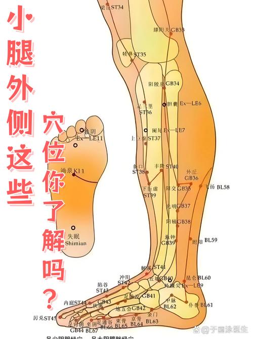 小腿变细的穴位按摩