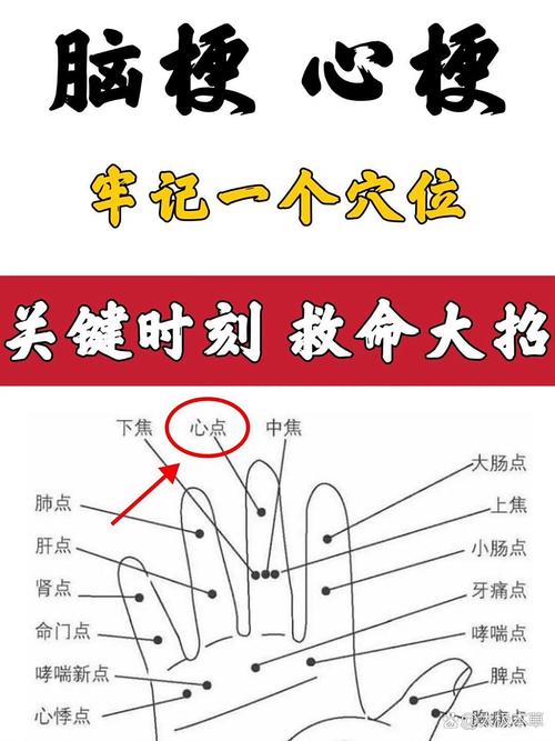 脑缺血按摩什么穴位