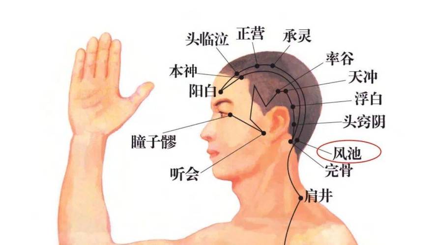 脑缺血按摩什么穴位