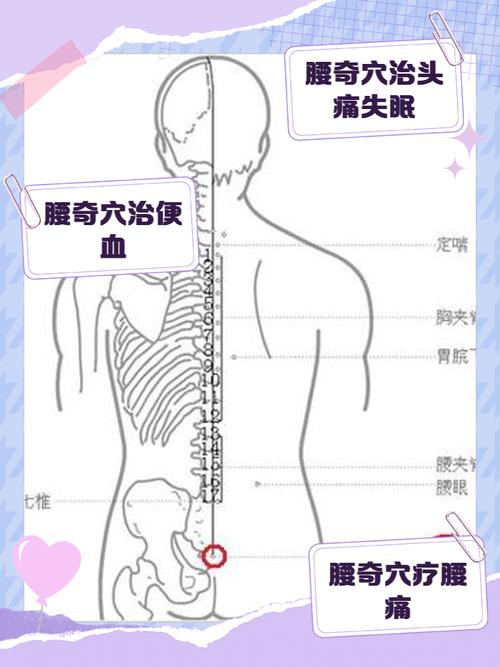 腰部滑脱贴那个穴位