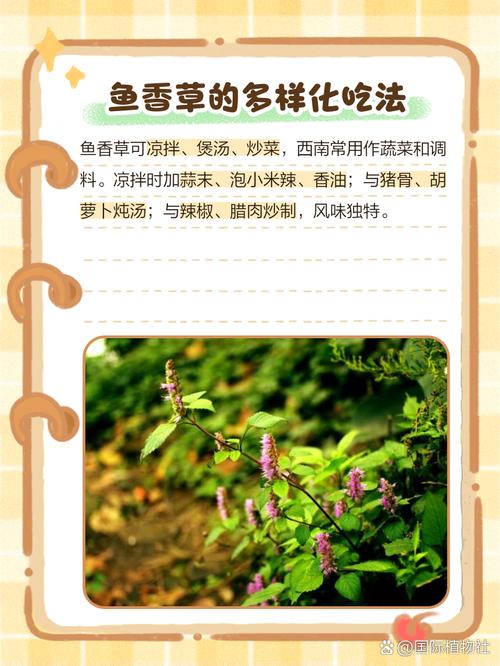 风湿吃中药可以吃鱼吗