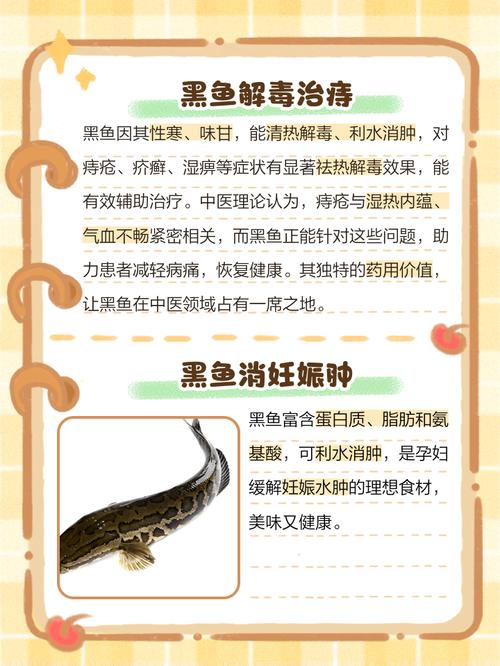 风湿吃中药可以吃鱼吗