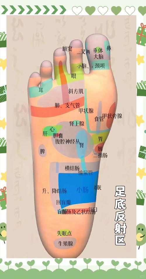 脚上对应子宫的穴位