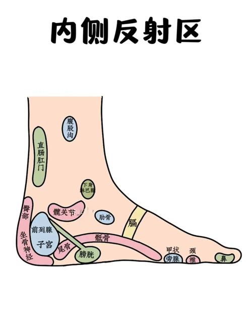 脚上对应子宫的穴位
