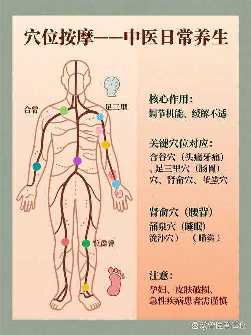 身体大势穴位按摩图