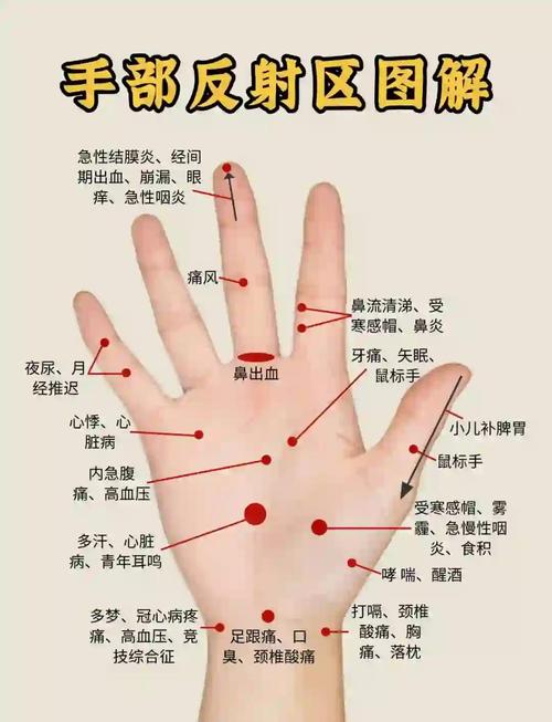 右手手掌穴位反射区