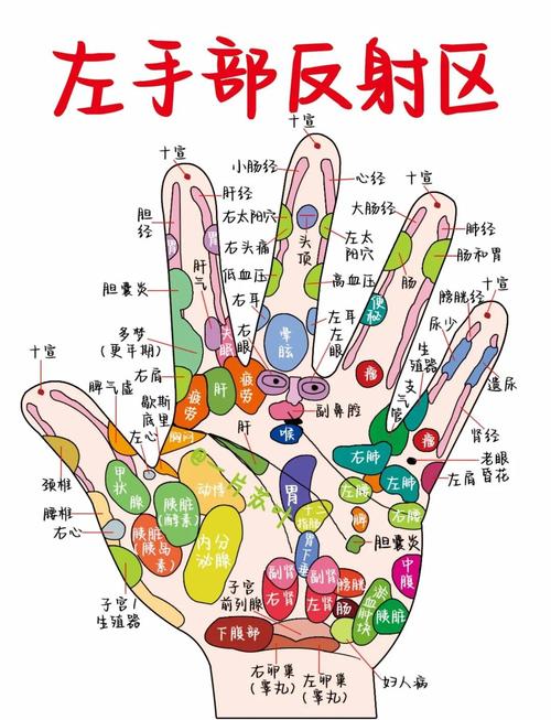 右手手掌穴位反射区