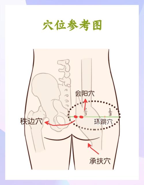 胯骨哪里是什么穴位