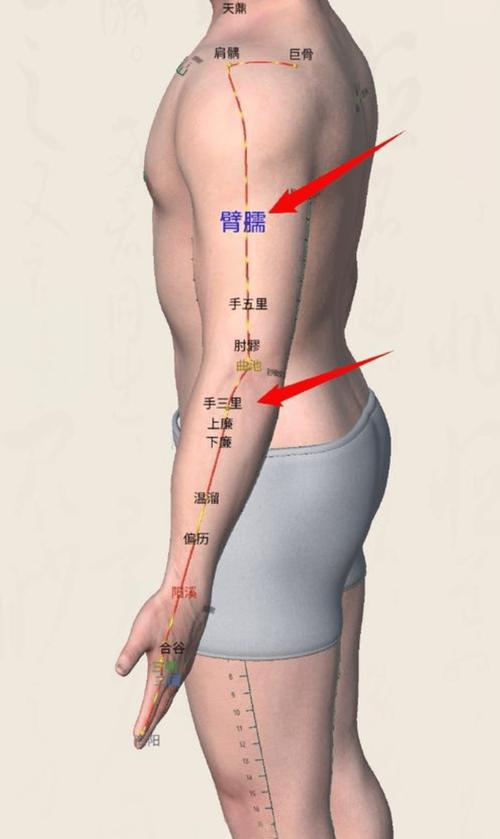 胳膊下边是什么穴位