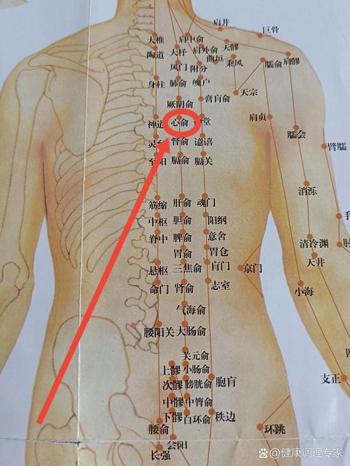 后背穴位在什么位置