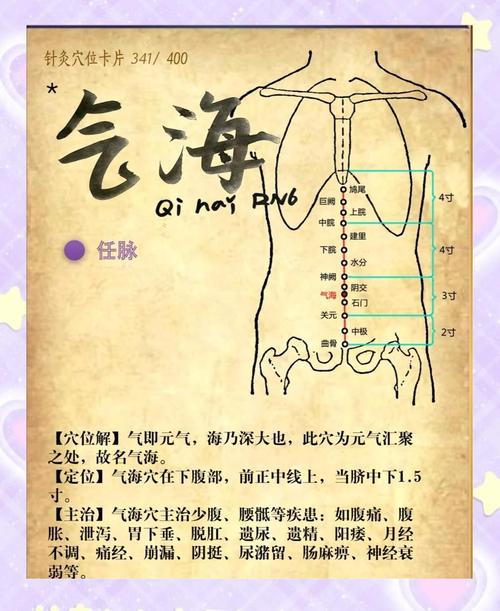 气海左边是哪个穴位