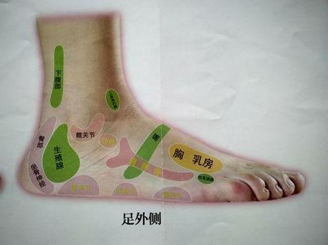 脚上小拇指外侧穴位