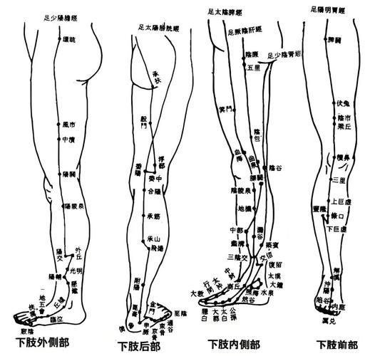 腿部风湿按哪些穴位
