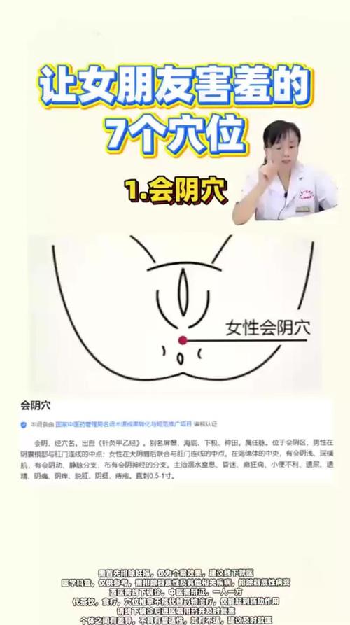 针灸穴位会阴穴图片