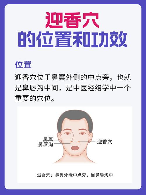 迎香准确位置图穴位