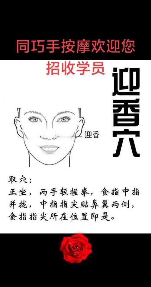 迎香准确位置图穴位