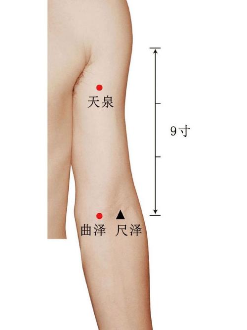 高血压按摩曲池穴位