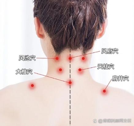 人体脖子周围穴位图