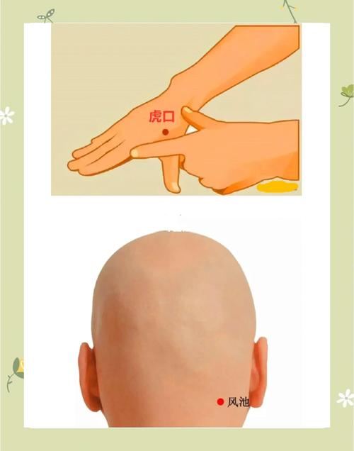 脑溢血失语按摩穴位