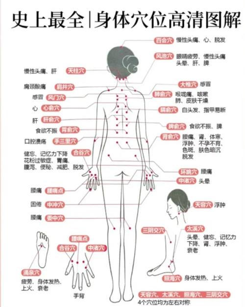 人体穴位对应的脏器