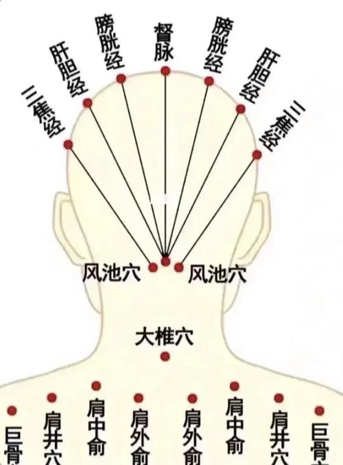 颈椎增生按摩啥穴位
