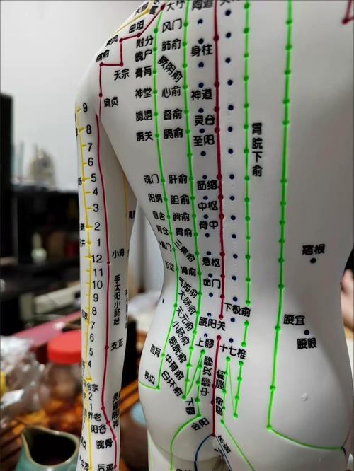 禁止针灸的致命穴位