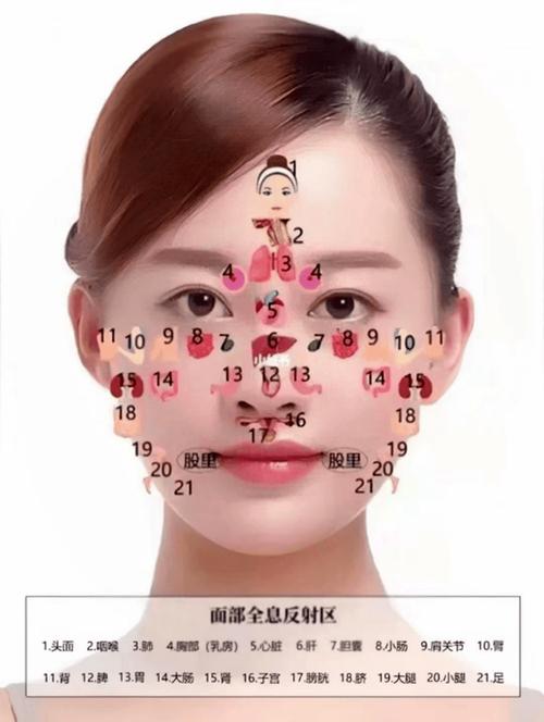 美容脸部穴位清晰图