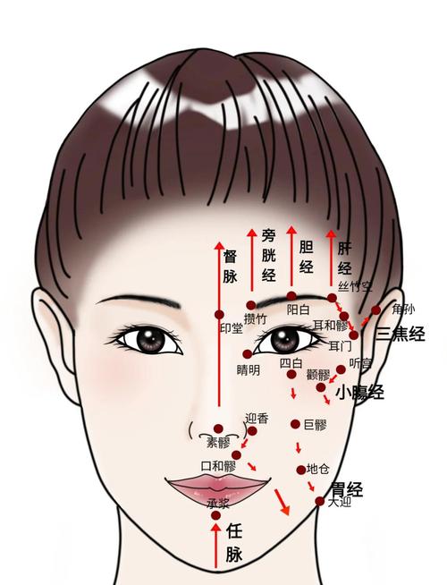 美容脸部穴位清晰图