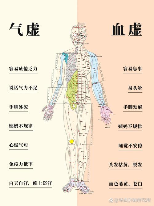 人体主要炁穴位作用