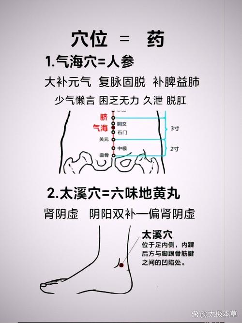人体主要炁穴位作用