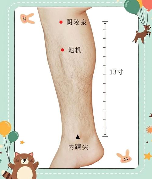 穴位密码网阴陵泉穴