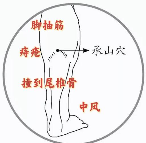 膀胱不好按哪个穴位