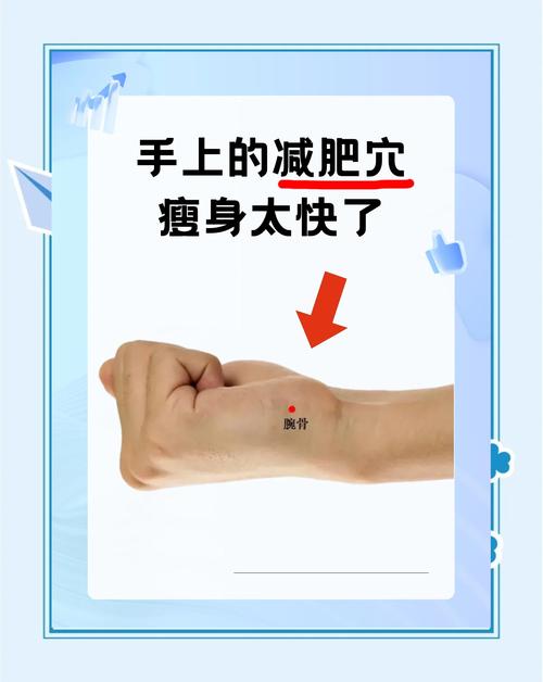 快速减肥按什么穴位