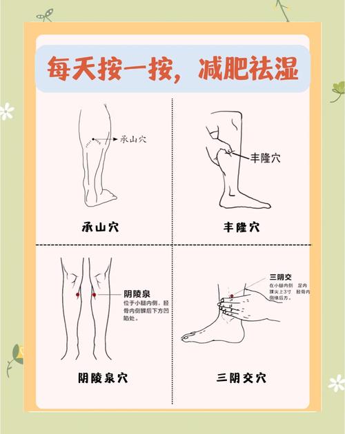 快速减肥按什么穴位