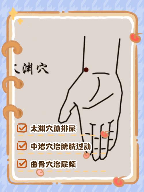 按什么穴位有助排尿