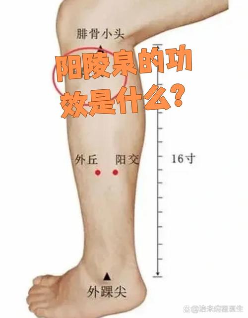 小腿发凉按什么穴位