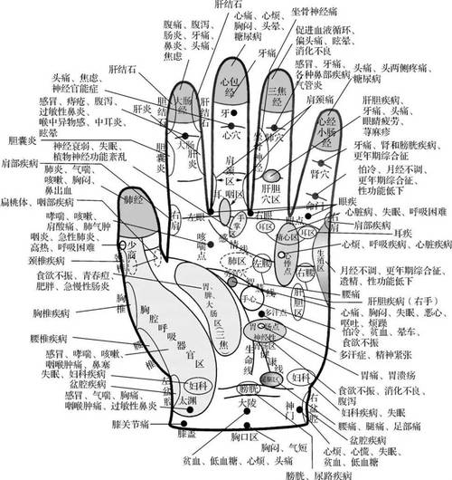 人体双手穴位经络图