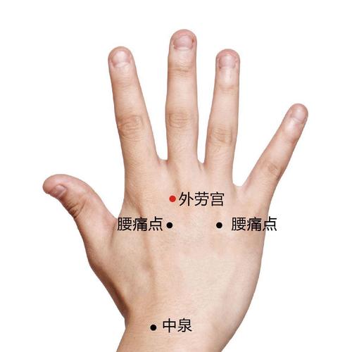 脾虚腹胀按什么穴位