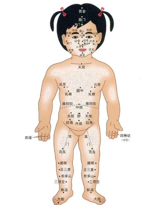 小儿推拿穴位头部图