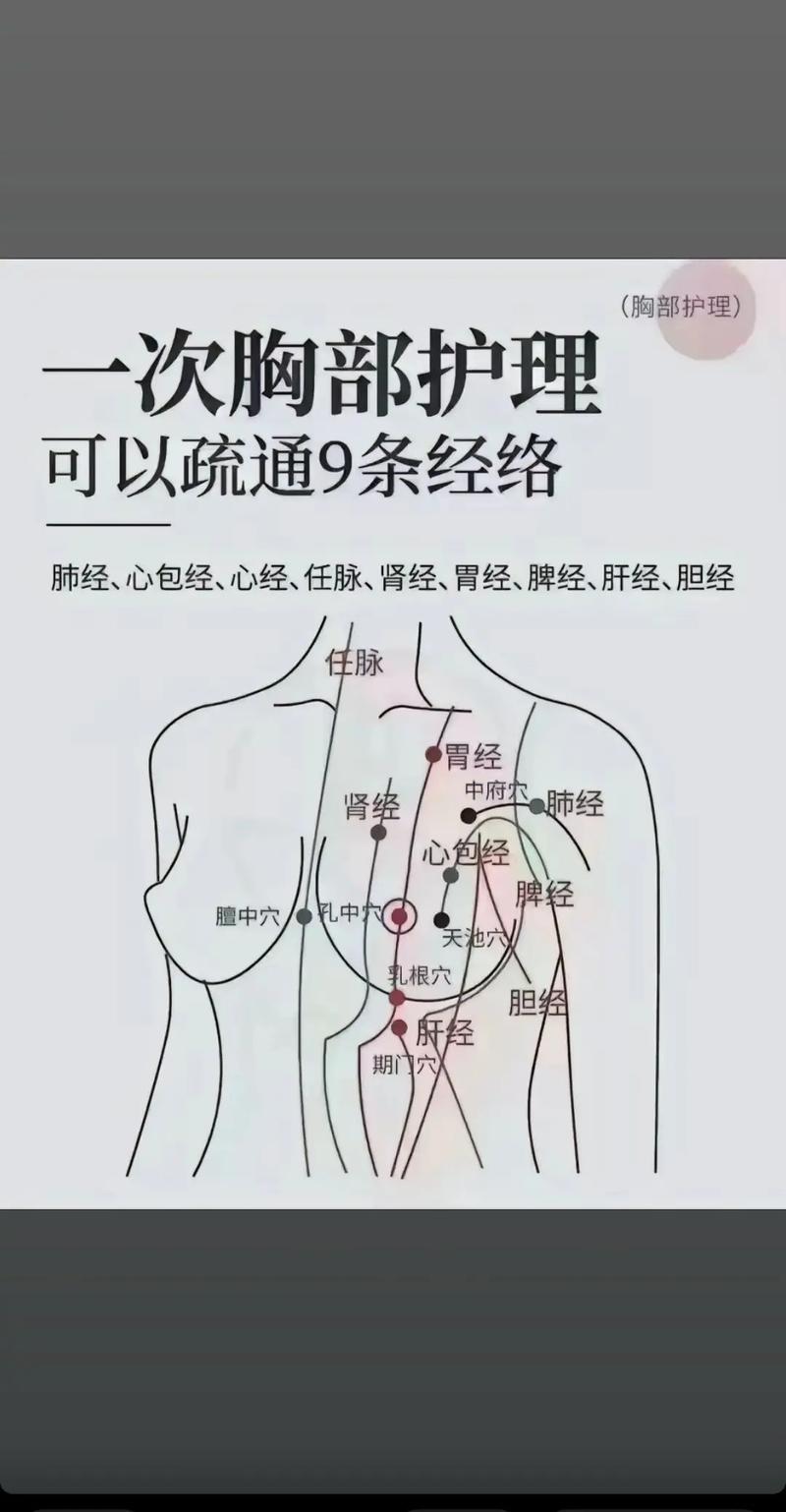 乳房穴位分布距离图