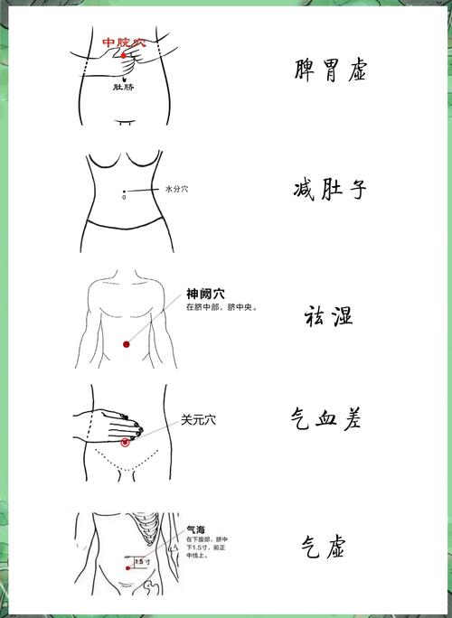 大肚子 电疗 穴位