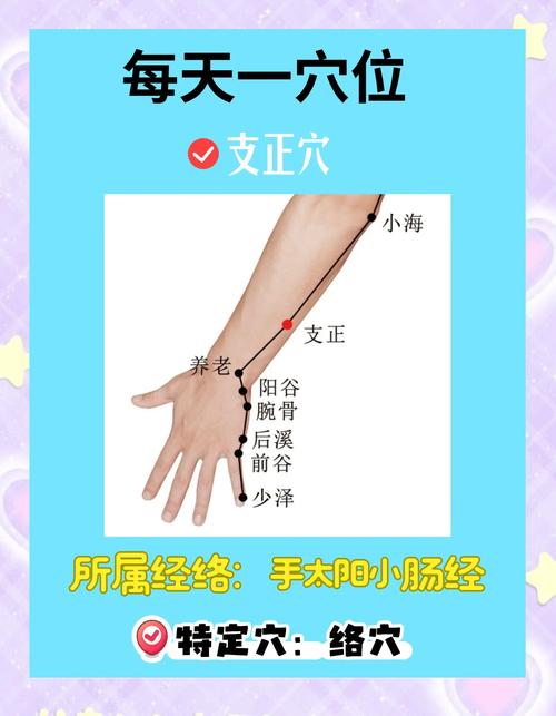 桡神经损伤针灸穴位