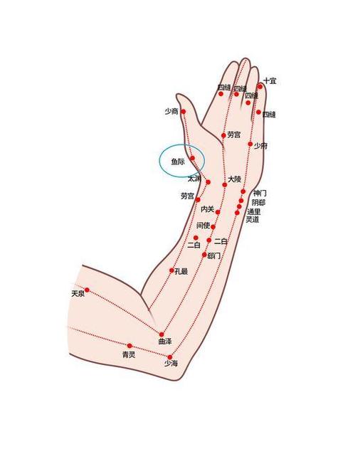 桡神经损伤针灸穴位