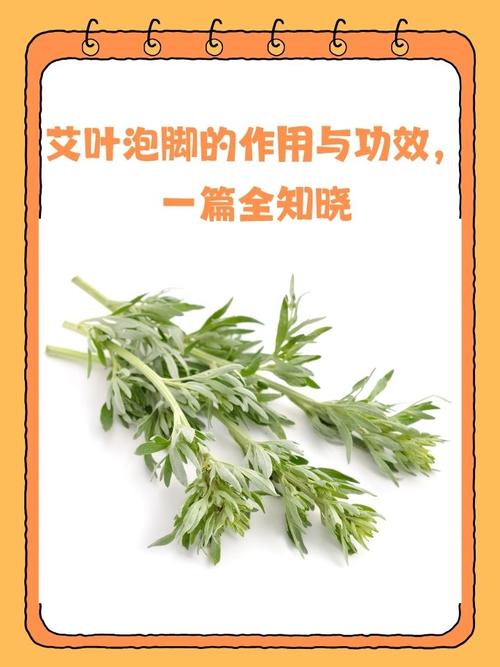 艾蒿怎么用能治疗风湿
